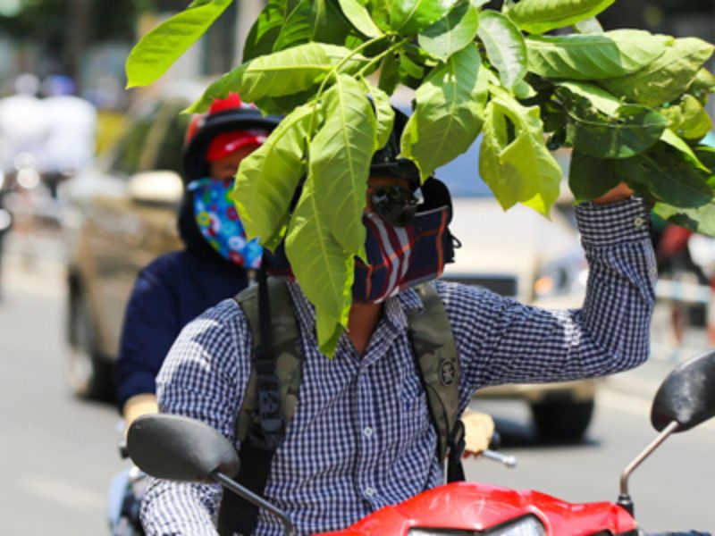 Đặc điểm khí hậu ở Thành phố Hồ Chí Minh