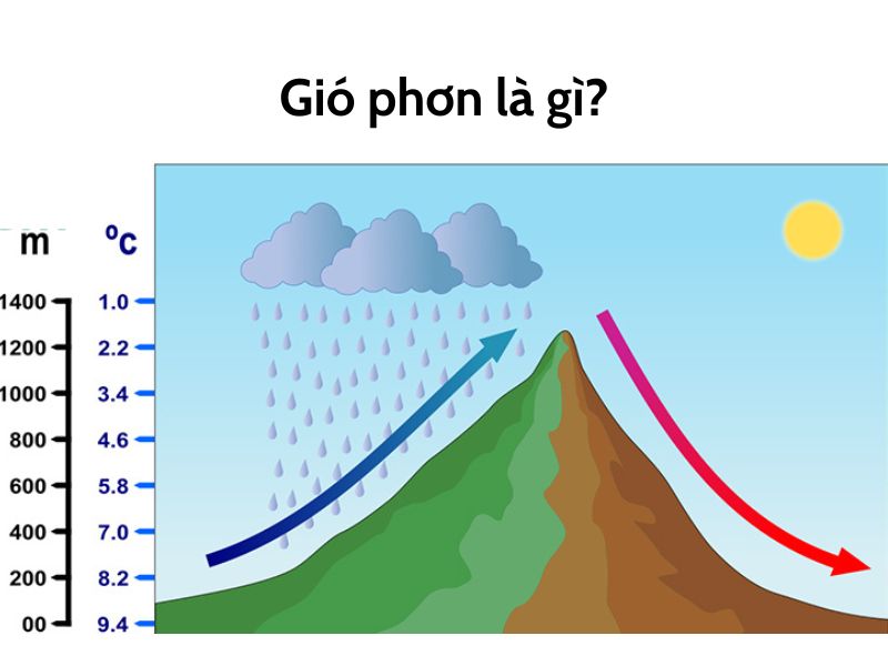 các loại gió ở Việt Nam