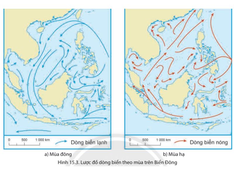 Nguyên nhân chủ yếu sinh ra các dòng biển là