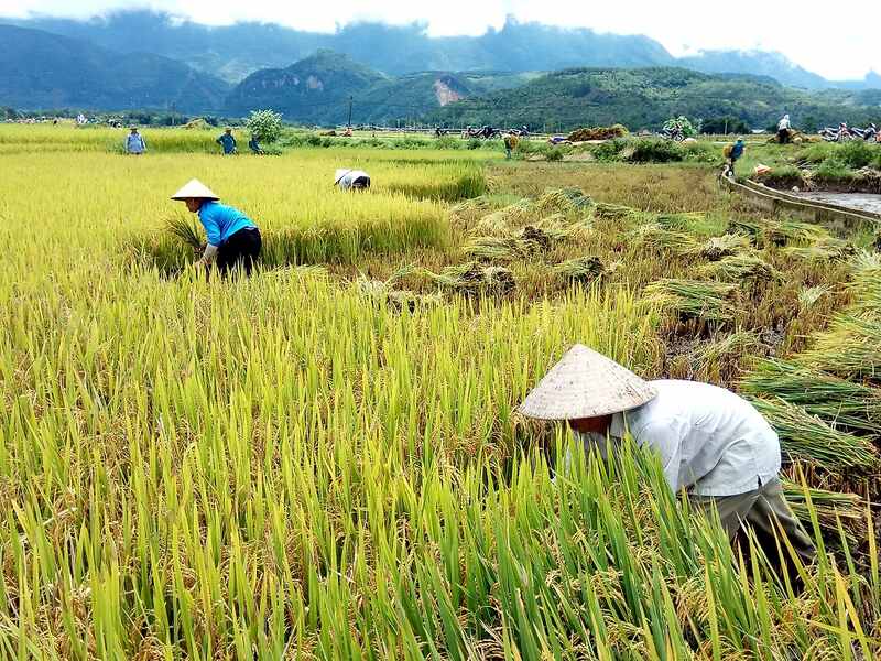 đặc điểm khí hậu Tam Kỳ