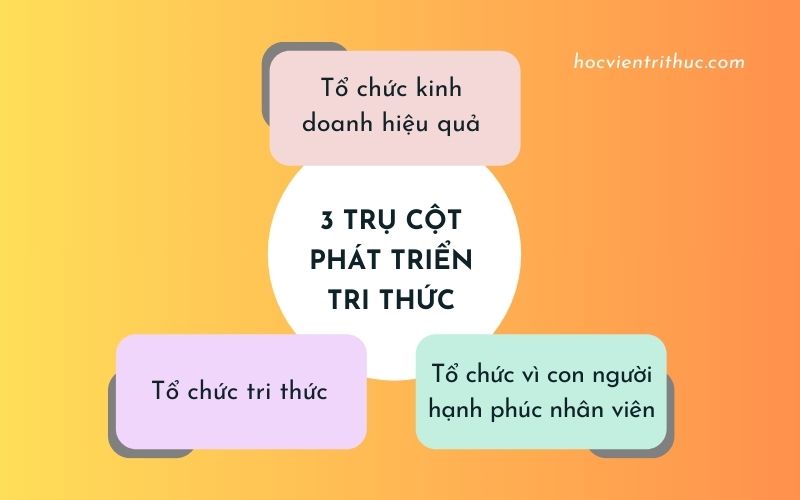 Tri thức – 1 trong 3 trụ cột giúp doanh nghiệp phát triển