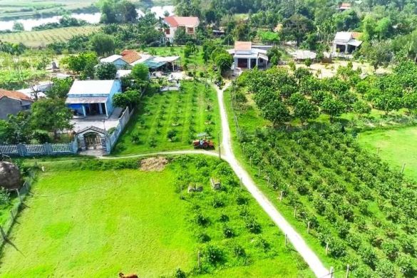 Giải mã tác động của đặc điểm khí hậu Tam Kỳ lên nông nghiệp