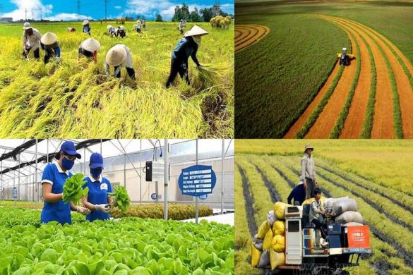 Đặc điểm khí hậu Vinh: Yếu tố quyết định năng suất nông nghiệp