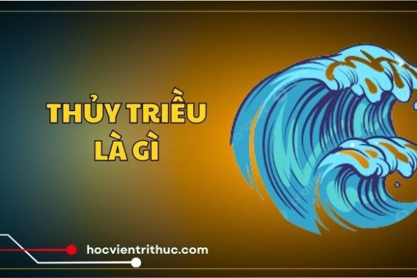 Thủy triều là gì và 3 sự thật bất ngờ