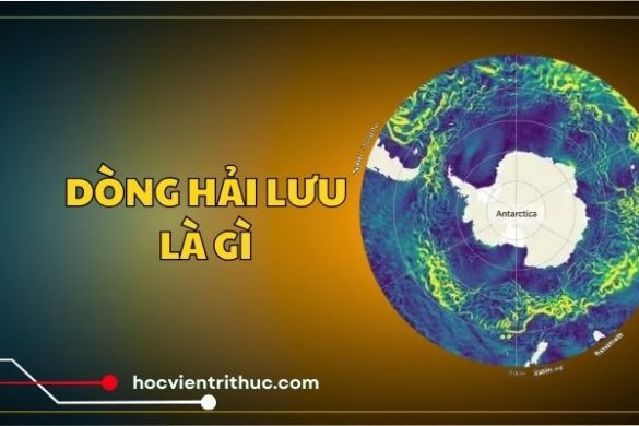 Dòng hải lưu là gì? Hiểu trong 3 phút!