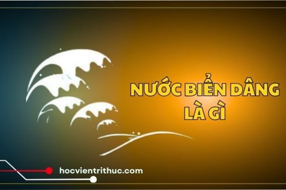 Khám phá nước biển dâng là gì?